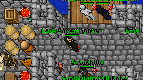 Lady Silverfighter on screen