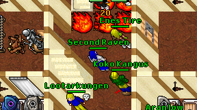 Second Raven on screen