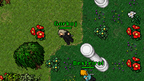 Gorkoj on screen