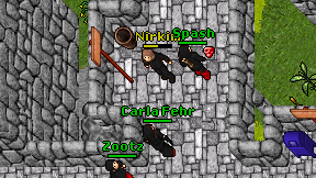 Nirkim on screen