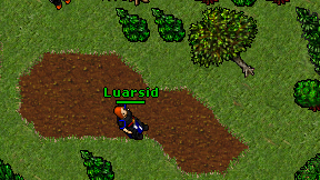 Luarsid on screen