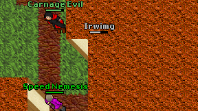 Irwimg on screen