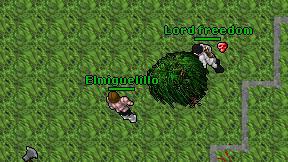 Elmiguelillo on screen