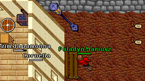 Paladyn Mariusz on screen