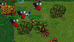 Surplex on screen