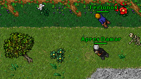 Apres Damar on screen