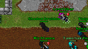 Shadow Druidox on screen