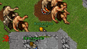 Robertoo on screen