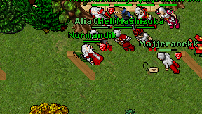 Normandik on screen