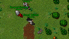 Szef Zibol on screen