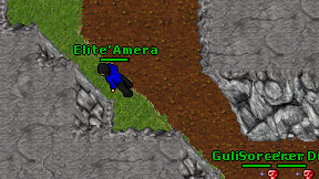 Elite'Amera on screen