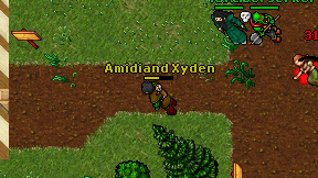 Amidiand Xyden on screen