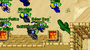 Eder Zoy on screen