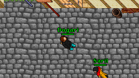 Dogari on screen