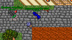 Nonexed Druid on screen