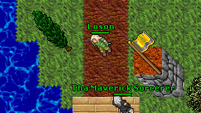Loson on screen
