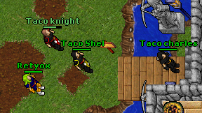 Taco Shel on screen