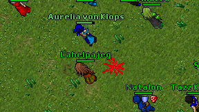 Lahelpajeg on screen