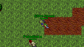 Elite Spaxi on screen