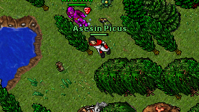 Asesin Picus on screen