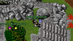 Sumopainija on screen