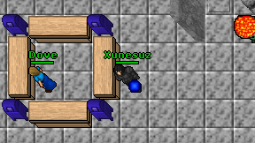 Xunesuz on screen