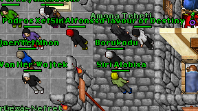 Borukodu on screen