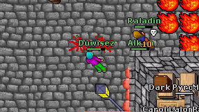 Duwisez on screen