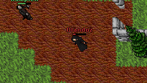 Olandoz on screen