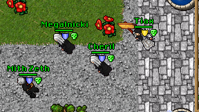 Cheril on screen