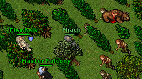 Miach on screen