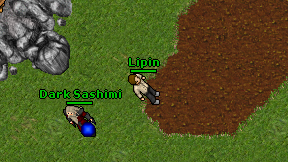 Lipin on screen
