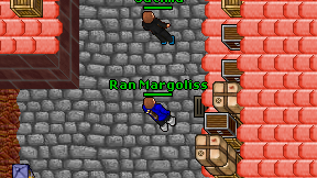 Ran Margoliss on screen