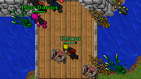Chimpi on screen