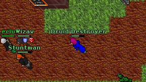 Druid'Destroyer on screen