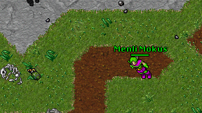 Menli Mokus on screen