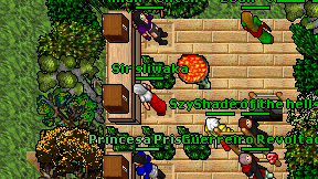 Sir sliwaka on screen