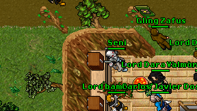 Seni on screen