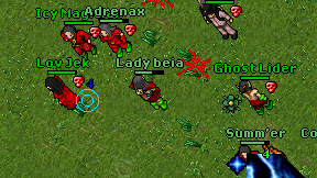Lady beia on screen