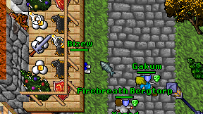 Bizew on screen