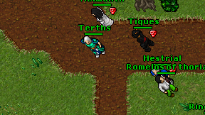 Terths on screen