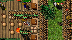 Knight'Mancha on screen