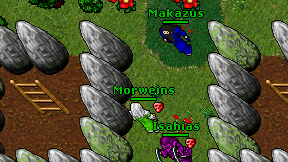 Morweins on screen