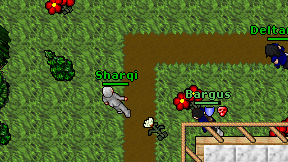 Sharqi on screen