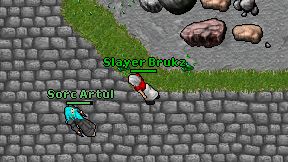 Slayer Brukz on screen