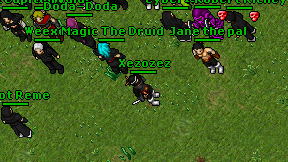 Xezozez on screen
