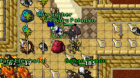Zeworu Paladyn on screen