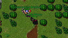 Cada Rhyn on screen