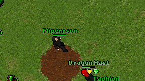 Fliperrson on screen