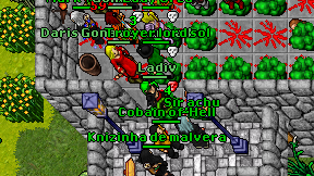 Ladiv on screen